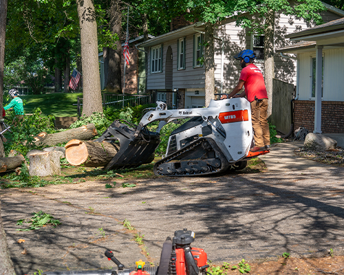 Seaben Tree Service